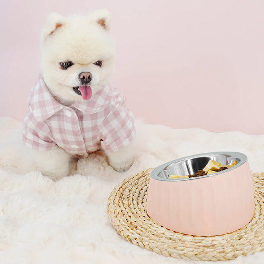 Stainless Steel Tilt Dog Bowl