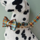 Cotton Personalized Dog Collar Set