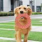 Carrot Rope Ball Dog Toy