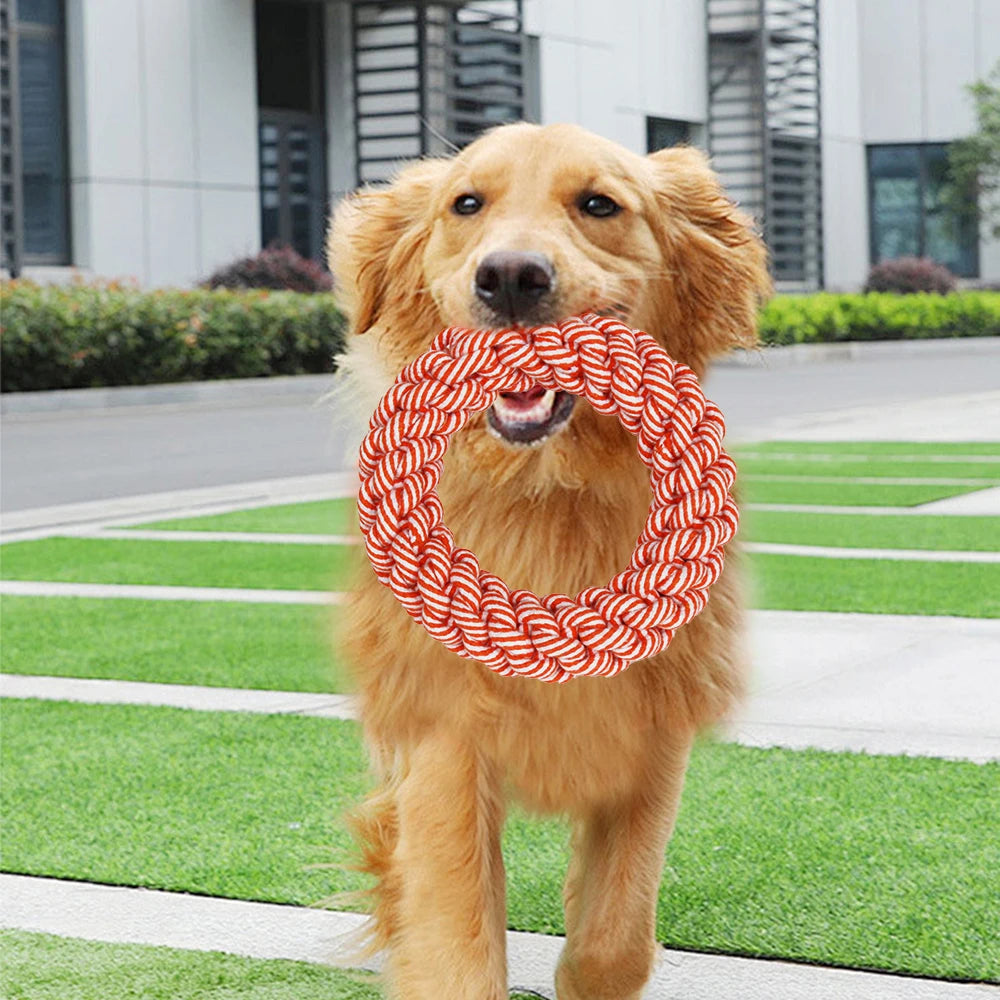 Carrot Rope Ball Dog Toy