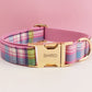 Luxury Retractable Dog Leash