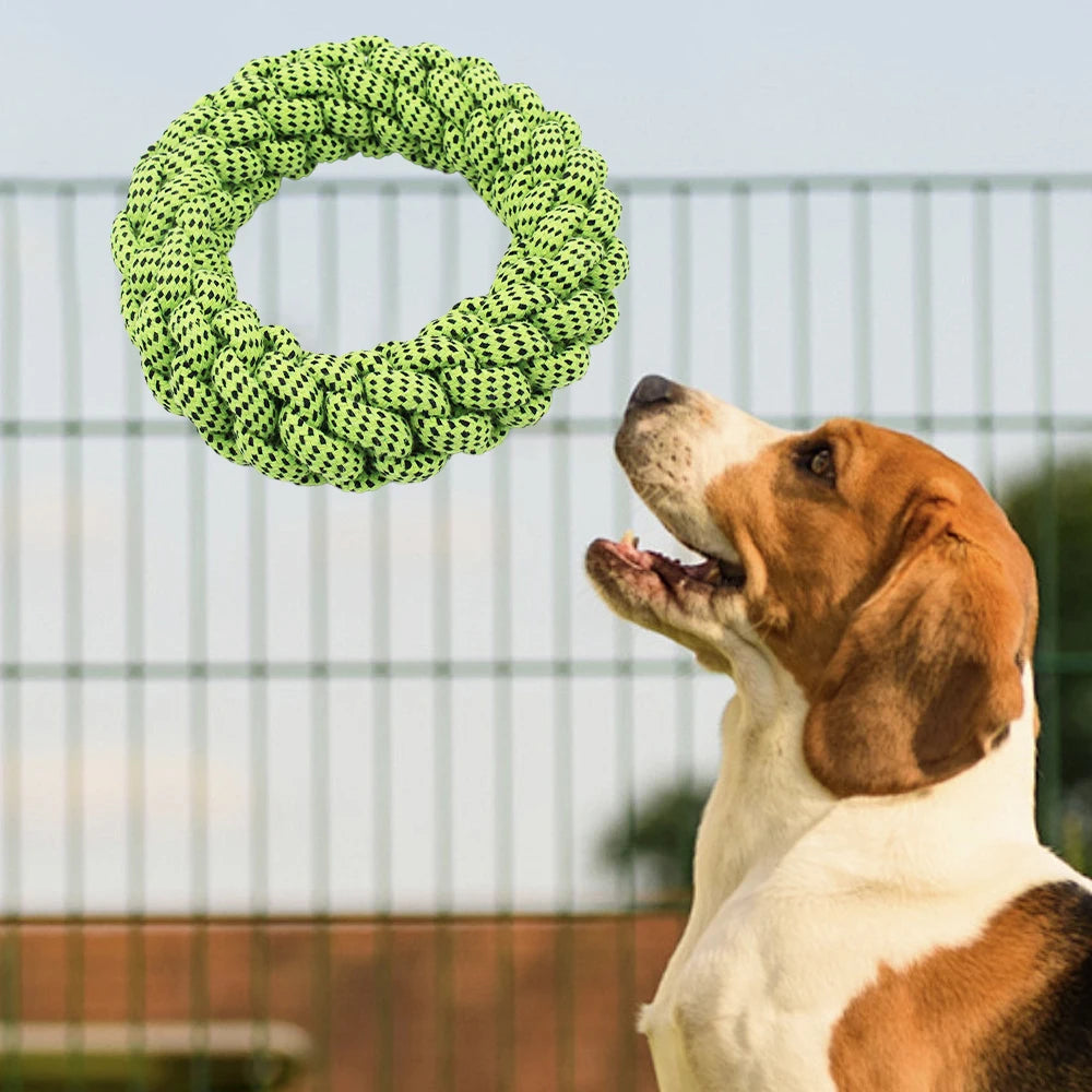 Carrot Rope Ball Dog Toy