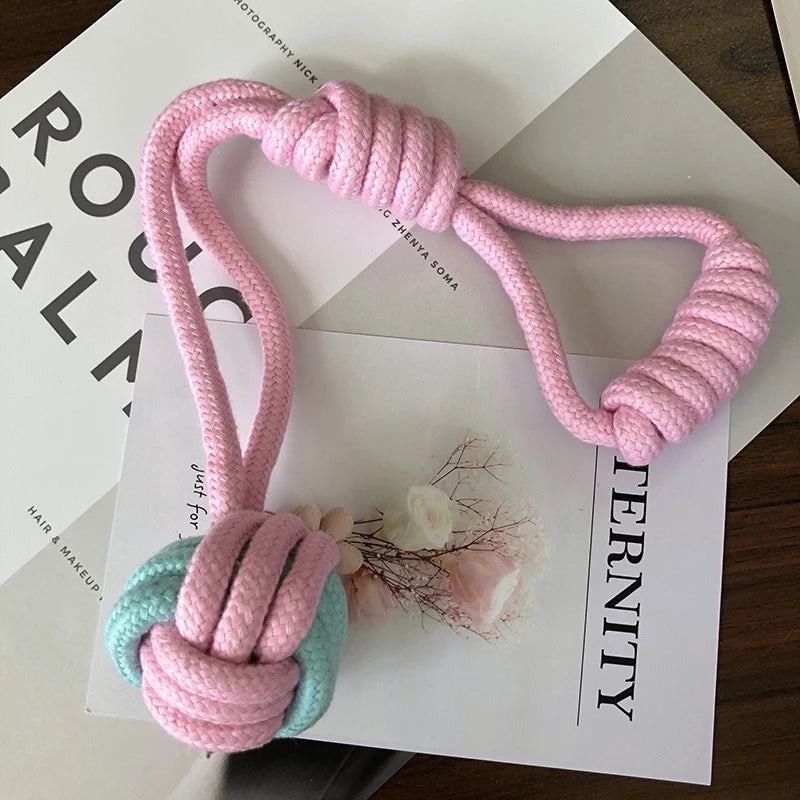 Plush Squeaky Dog Chew Toy