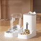Large Capacity Pet Water Feeder
