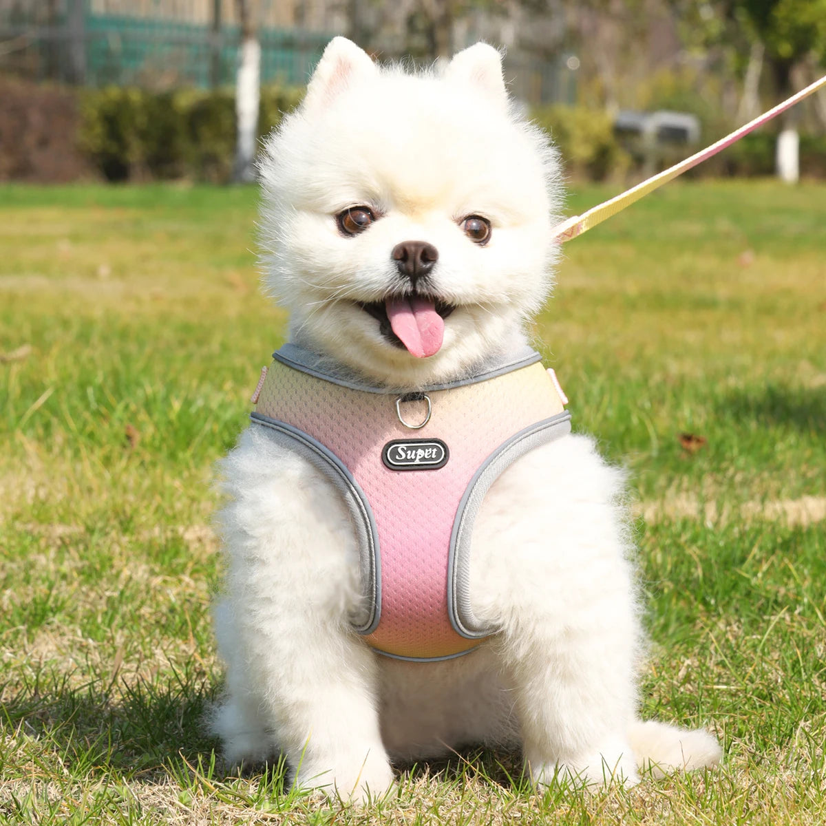 Adjustable Reflective Dog Harness