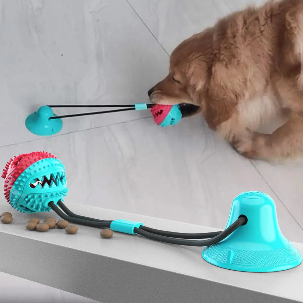 Toothbrush Chew Rope Dog Toy