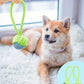 Durable Pull Ring Chew Toy