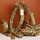 Leopard Print Dog Collar Set