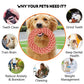 Carrot Rope Ball Dog Toy