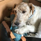 TPR Knot Training Dog Toy