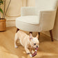 Outdoor Rope Tug Toy Pack