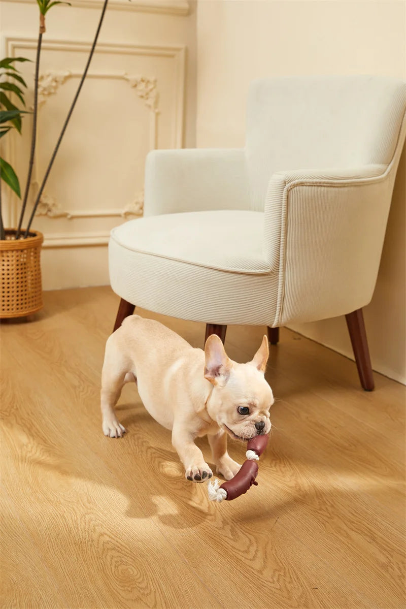 Outdoor Rope Tug Toy Pack