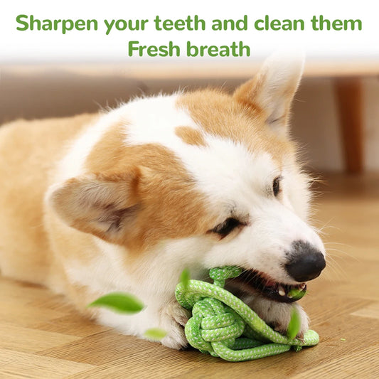 Durable Pull Ring Chew Toy