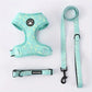 Kitten Harness Collar Leash Set