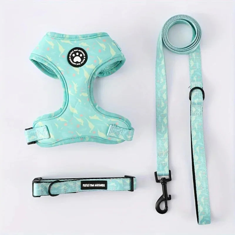 Kitten Harness Collar Leash Set