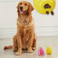 Food Dispensing Chew Ball
