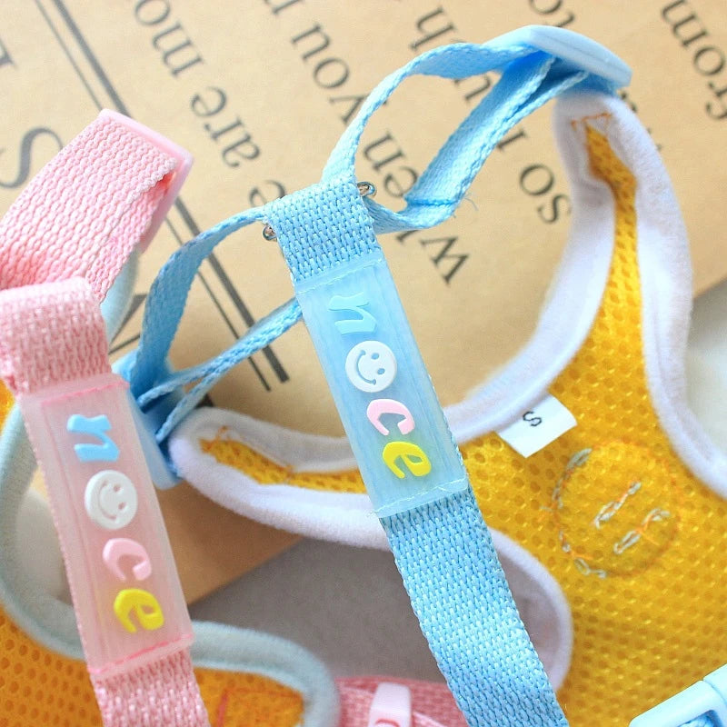 Cute Bear Dog Leash Set