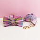 Luxury Retractable Dog Leash