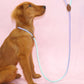 Colorful Outdoor Dog Leash