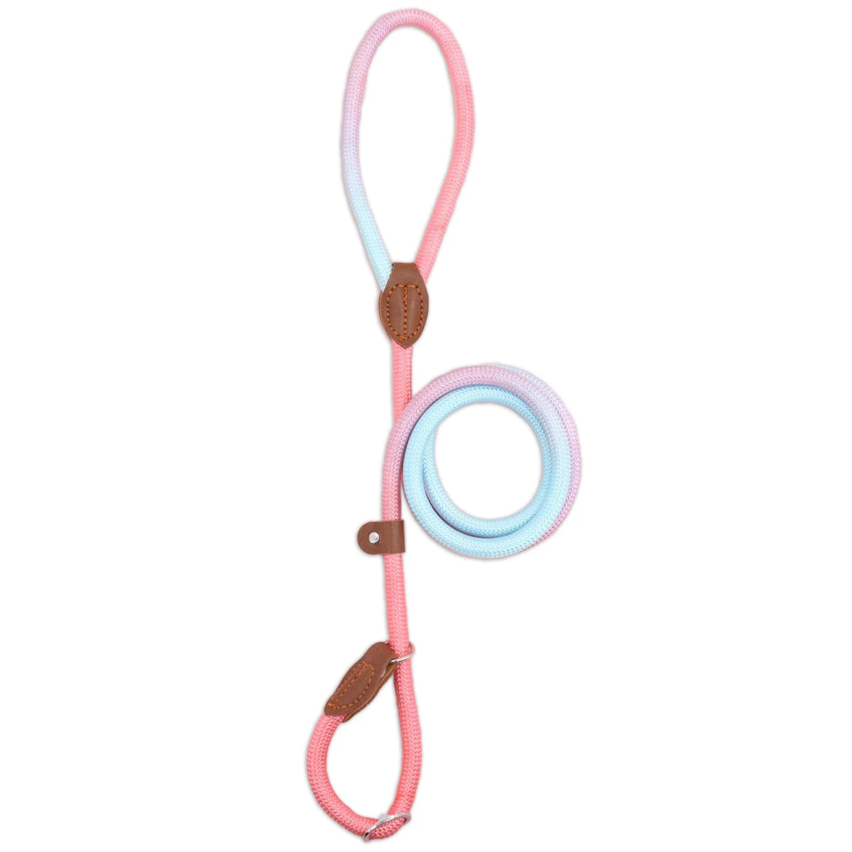 Colorful Outdoor Dog Leash