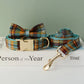 Luxury Retractable Dog Leash