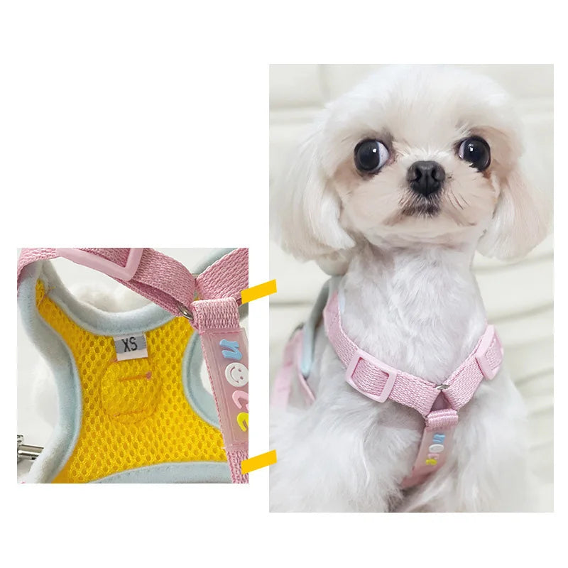 Cute Bear Dog Leash Set