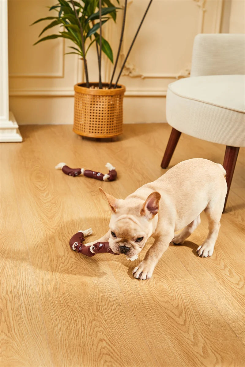 Outdoor Rope Tug Toy Pack