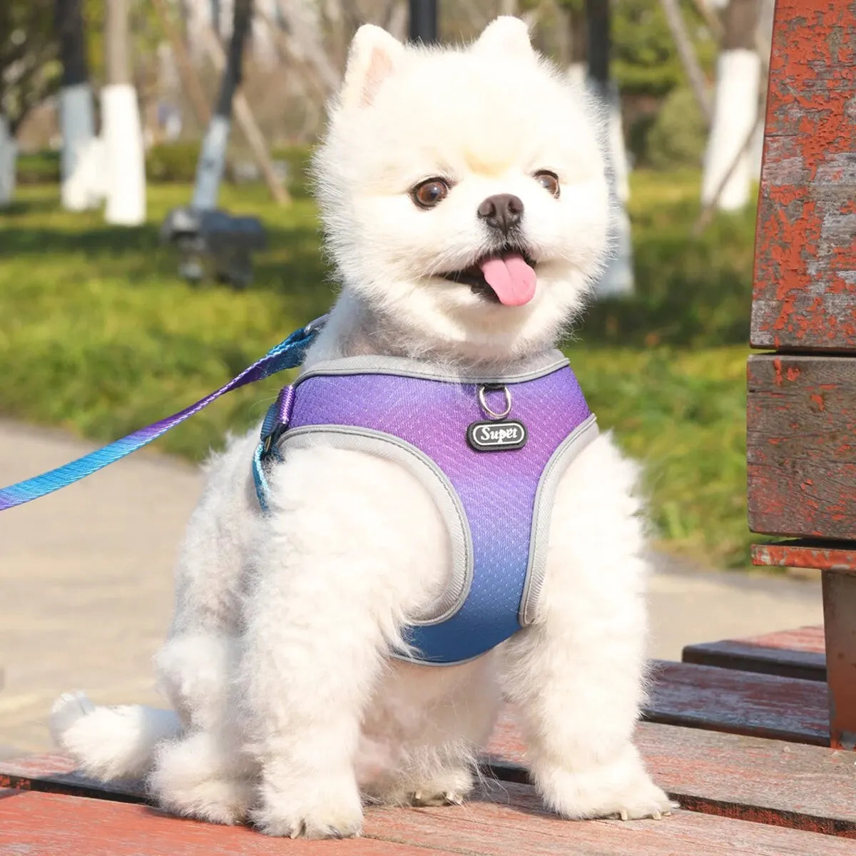 Adjustable Reflective Dog Harness