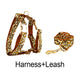 Leopard Print Dog Collar Set
