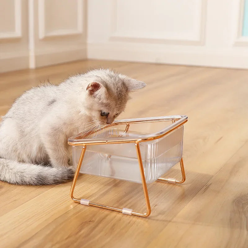 Transparent Raised Cat Bowl