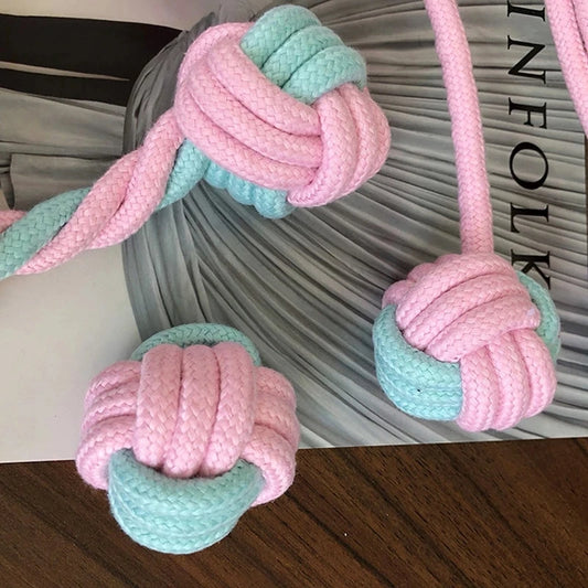 Plush Squeaky Dog Chew Toy
