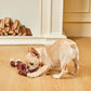 Outdoor Rope Tug Toy Pack