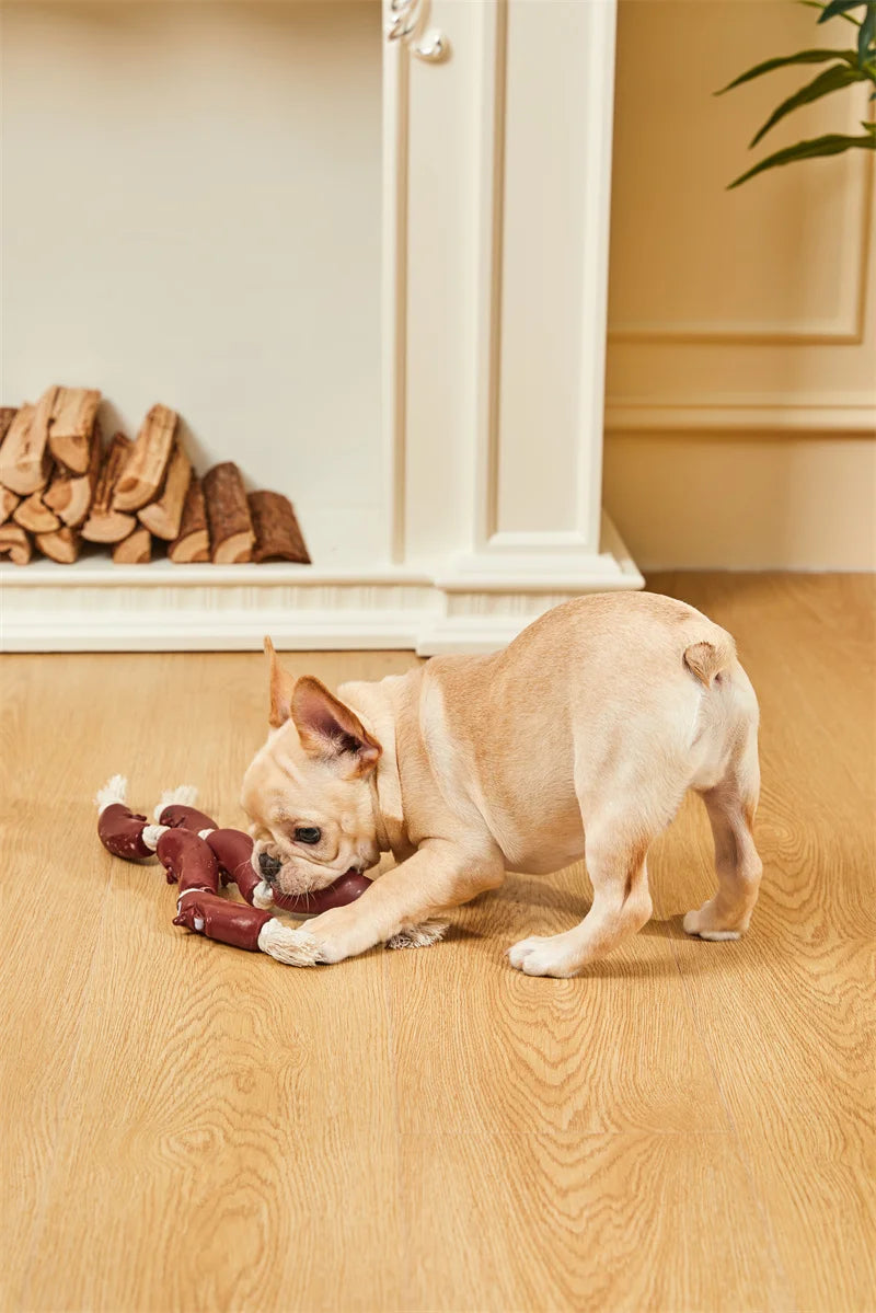 Outdoor Rope Tug Toy Pack