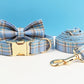 Luxury Retractable Dog Leash