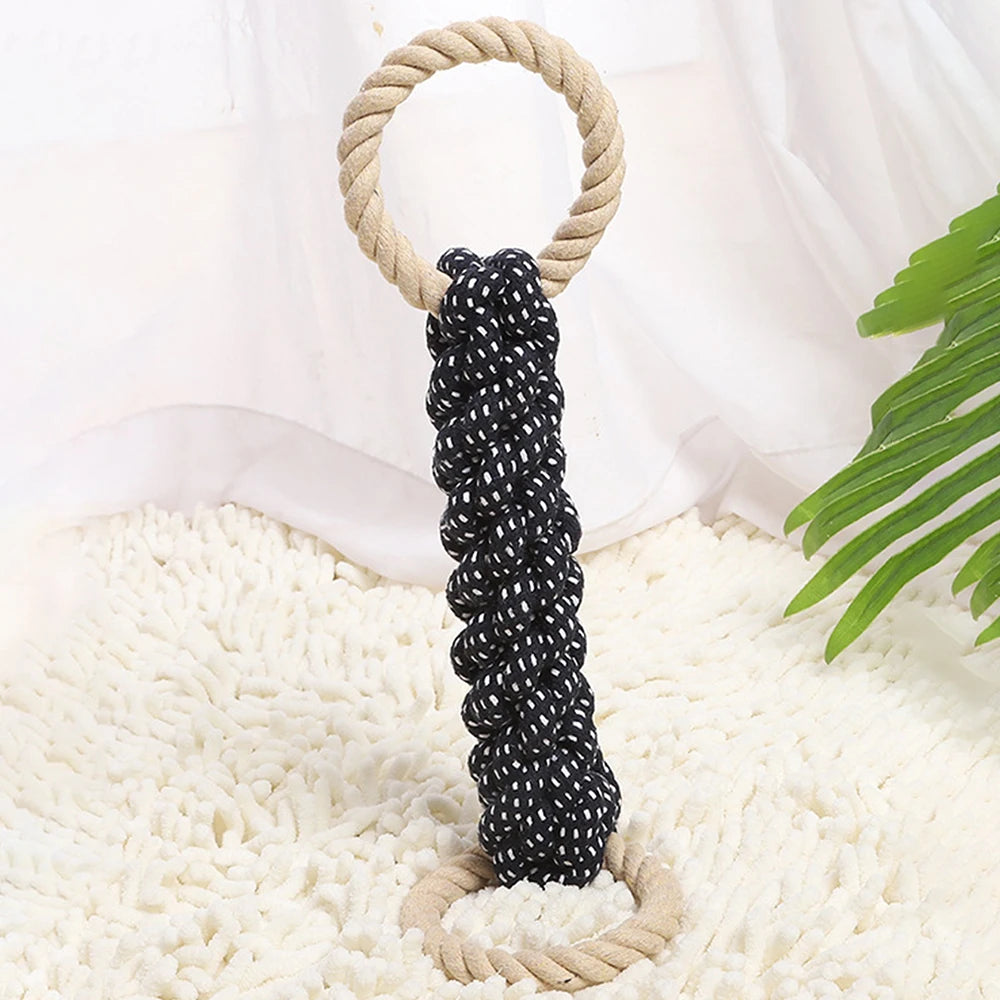 Suction Cup Dog Chew Toy