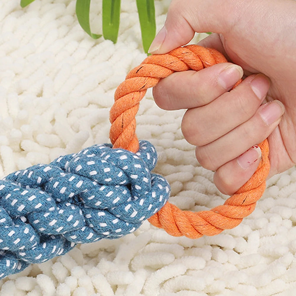 Suction Cup Dog Chew Toy