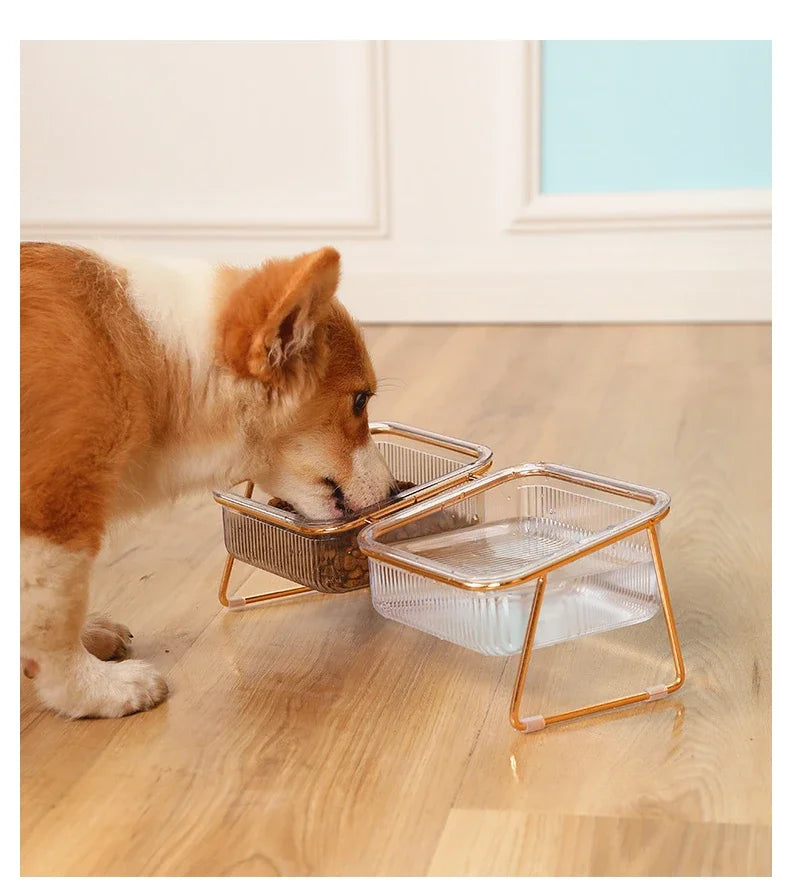Transparent Raised Cat Bowl