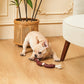 Outdoor Rope Tug Toy Pack