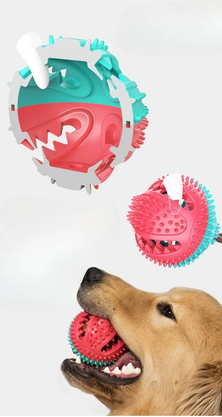 Toothbrush Chew Rope Dog Toy