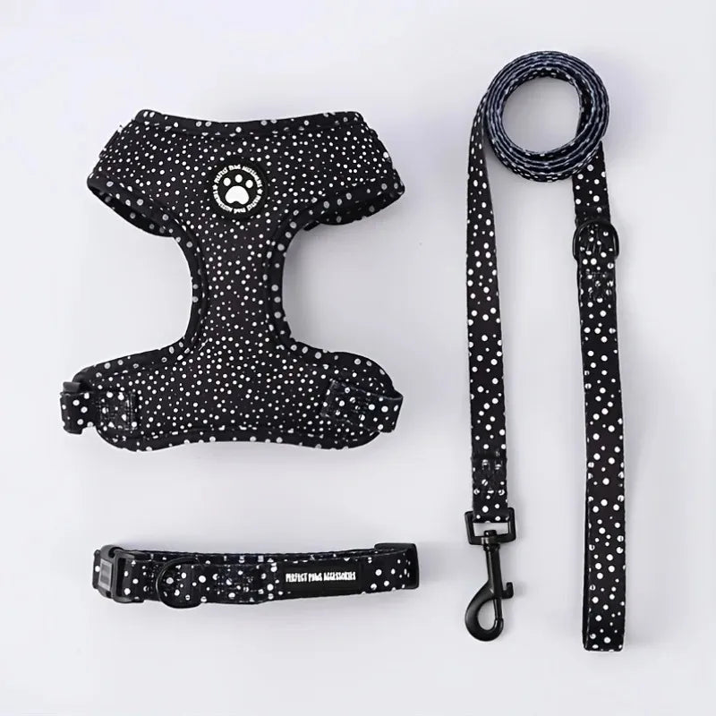 Kitten Harness Collar Leash Set