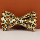 Leopard Print Dog Collar Set
