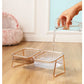 Transparent Raised Cat Bowl
