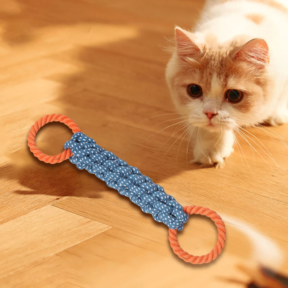 Suction Cup Dog Chew Toy