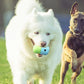 Dog Chew Toy Silicone Food Dispensing Ball For Dog Pet Supplies Interactive Puppy Treat Enrichment Toy For Medium Small Large