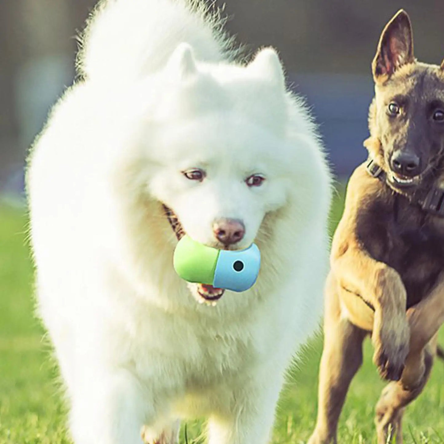 Dog Chew Toy Silicone Food Dispensing Ball For Dog Pet Supplies Interactive Puppy Treat Enrichment Toy For Medium Small Large