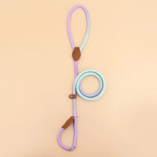 Colorful Outdoor Dog Leash