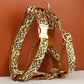 Leopard Print Dog Collar Set
