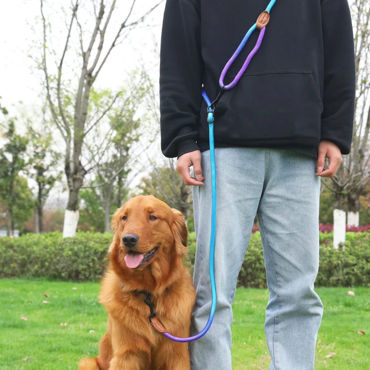 Colorful Rope Dog Leash