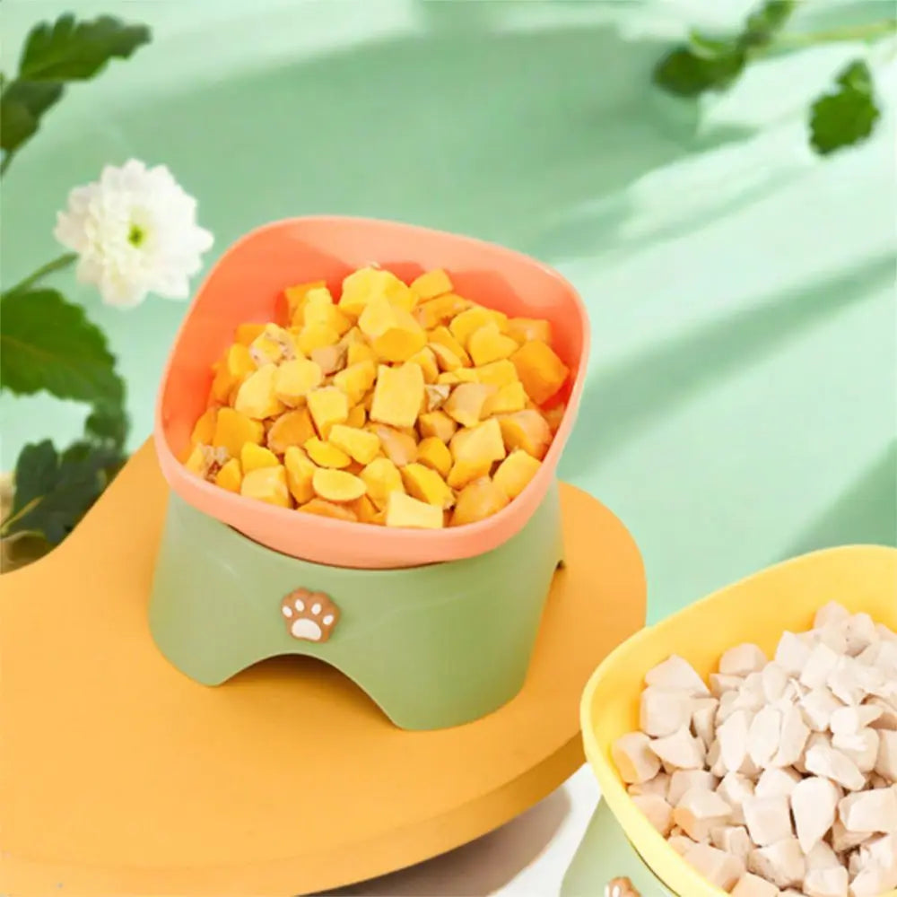 Tilted Raised Cat Food Bowl
