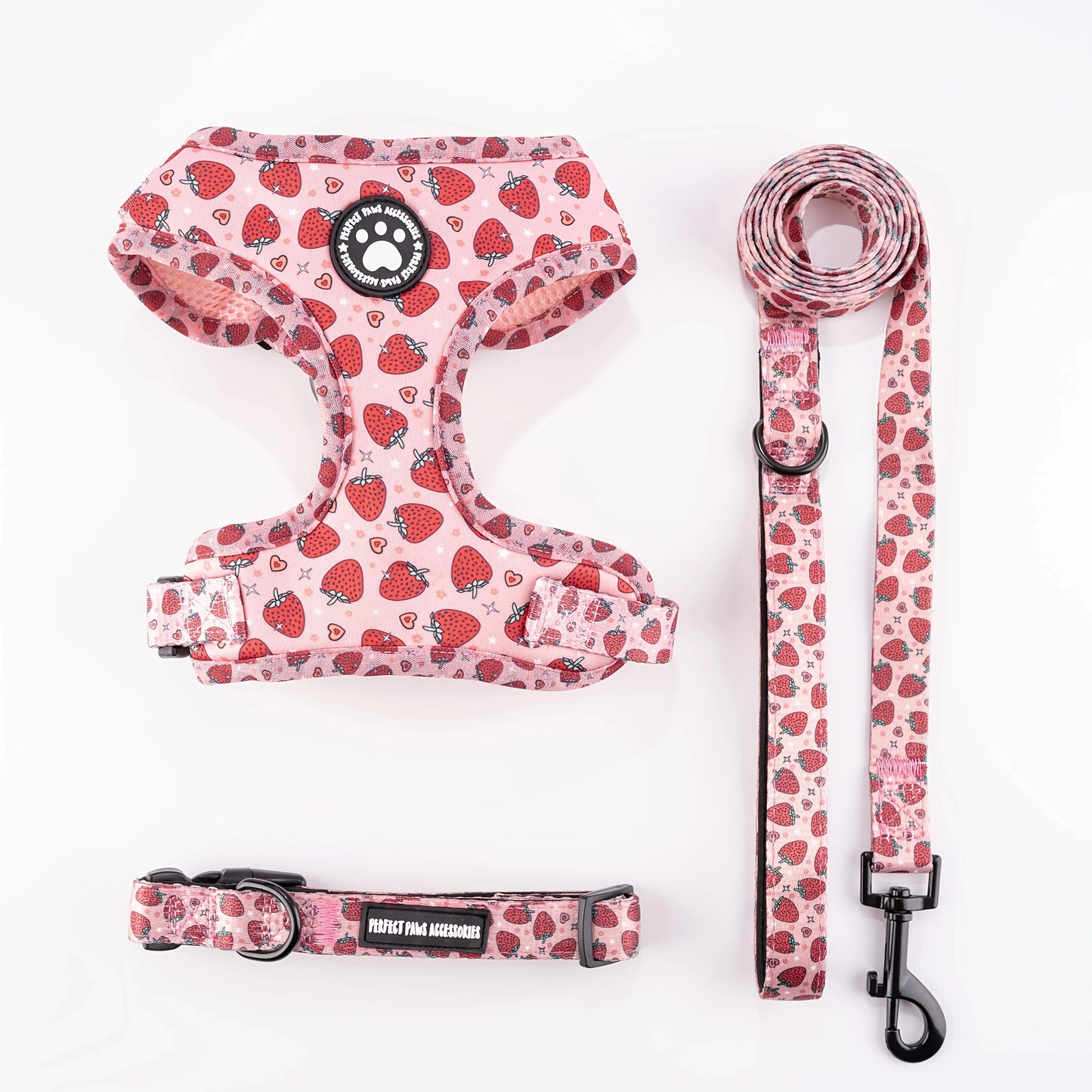 Kitten Harness Collar Leash Set